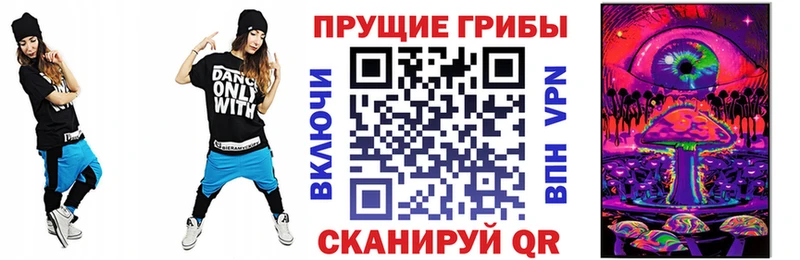 Галлюциногенные грибы Psilocybe KRAKEN сайт Шацк